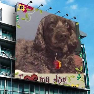 Meet your Posher, Debbie